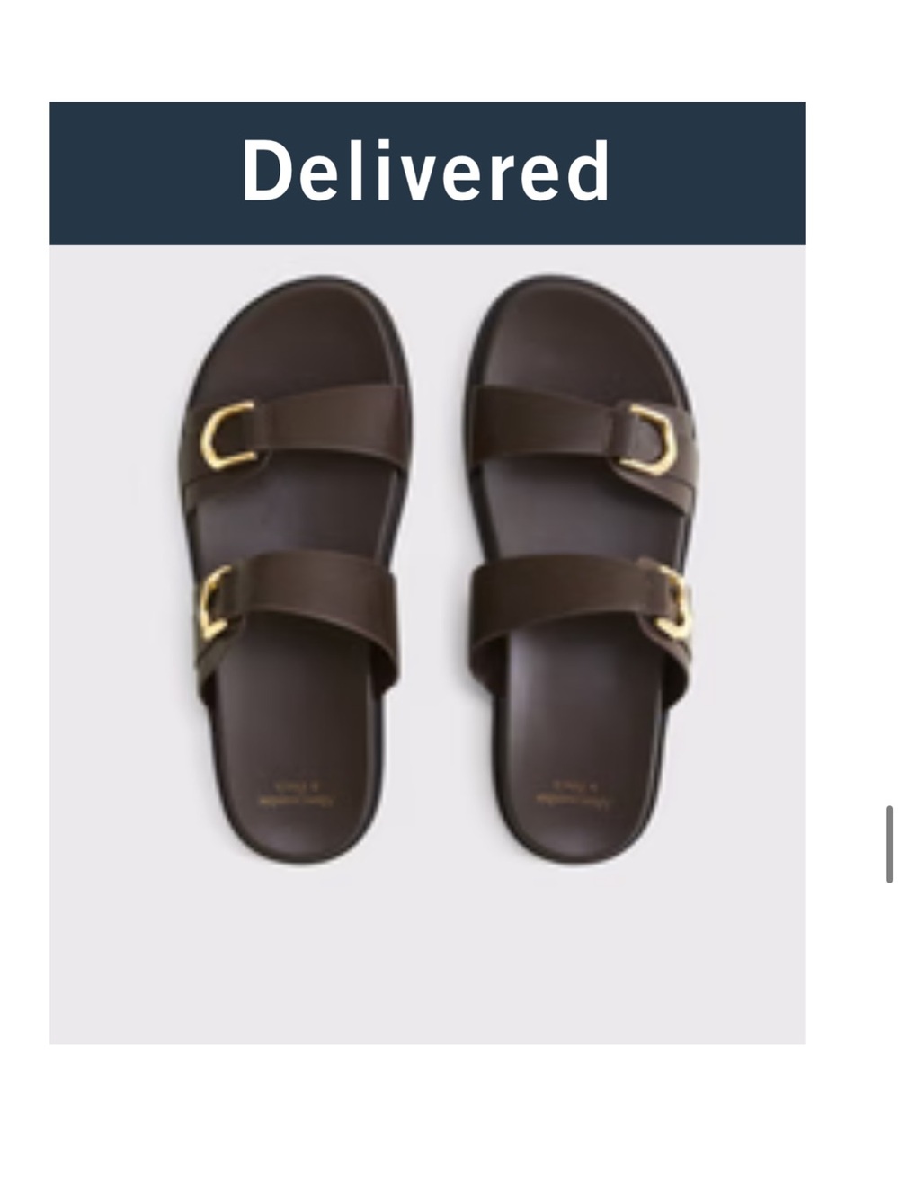 Abercrombie slides